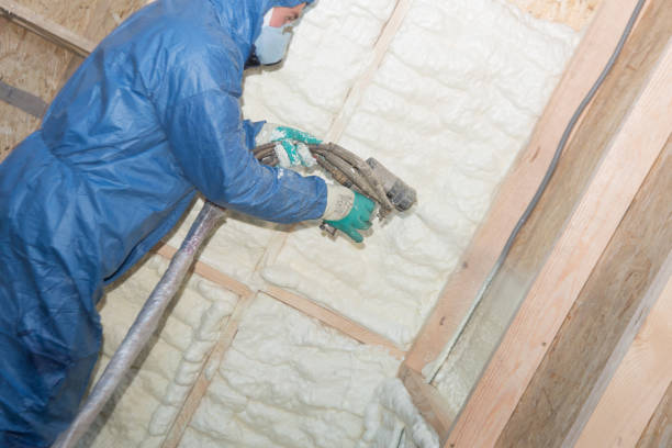 Types of Insulation We Offer in Mount Vernon, VA